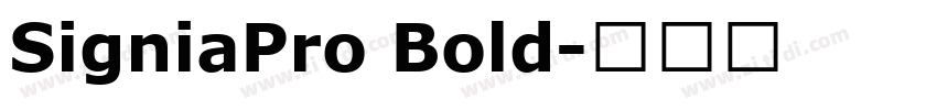 SigniaPro Bold字体转换